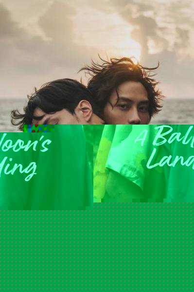 A Balloon's Landing
