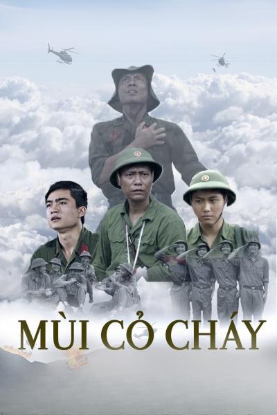 Mui co chay