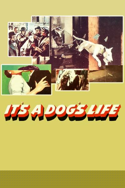 It's a Dog's Life