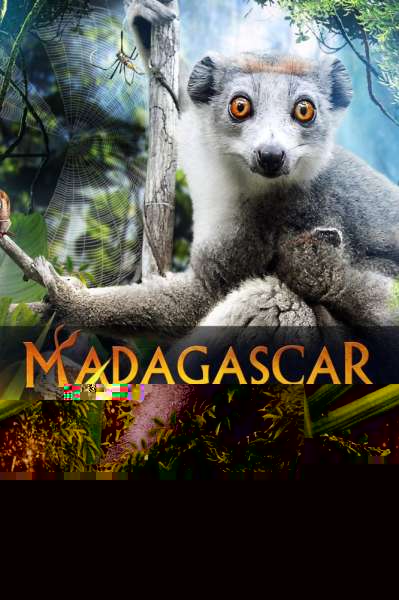 Madagascar 3D