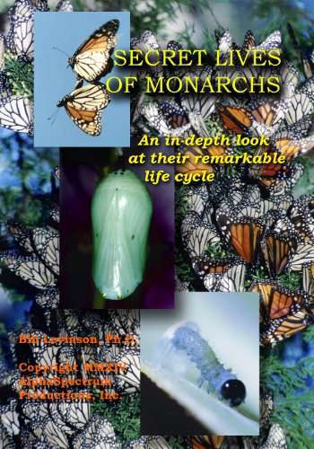 Secret Lives of Monarchs