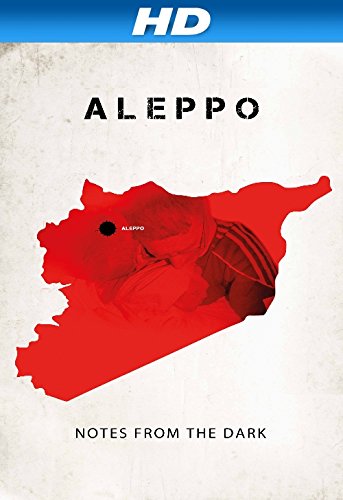 Aleppo. Notes from the Dark