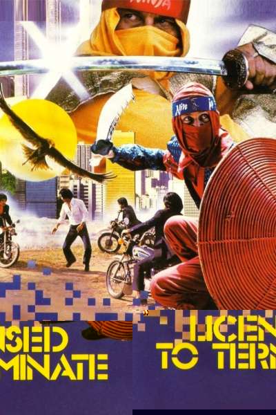 Ninja Operation: Licensed to Terminate
