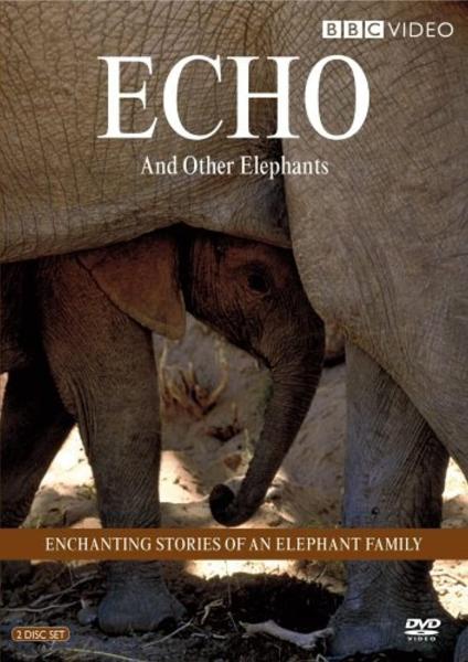 Echo of the Elephants