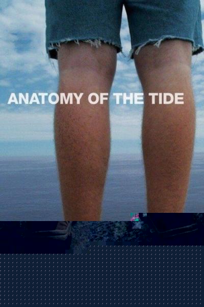 Anatomy of the Tide