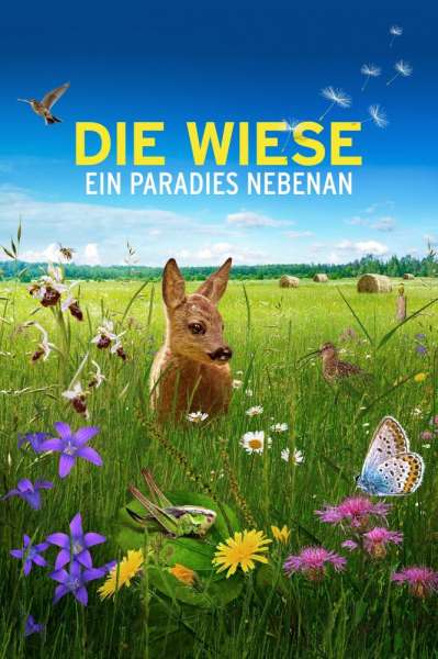 Die Wiese