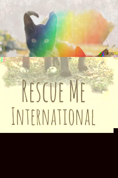 Rescue Me: International