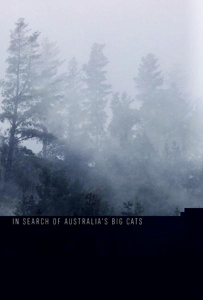The Hunt: In Search of Australia's Big Cats