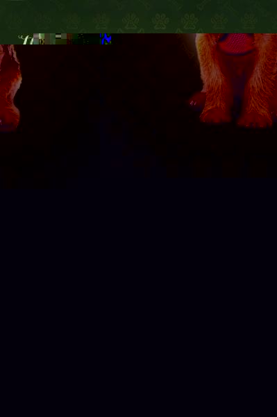 The Dog House