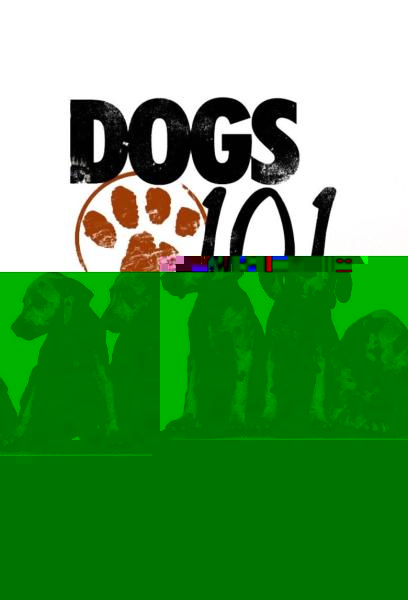 Dogs 101