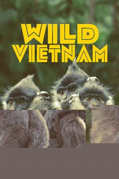 Wild Vietnam